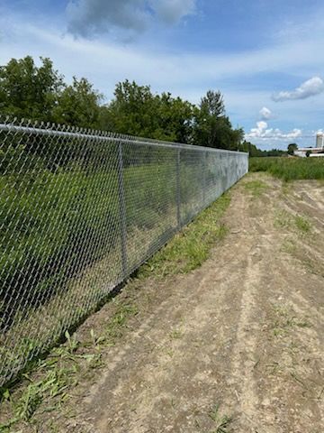 Clôture à mailles losangées avec fil barbelé, à côté d'un chemin de terre, d'un champ et d'arbres sous un ciel bleu.
