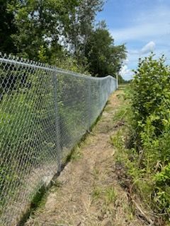 Une clôture grillagée avec du fil barbelé longe un chemin de terre à côté de la végétation.