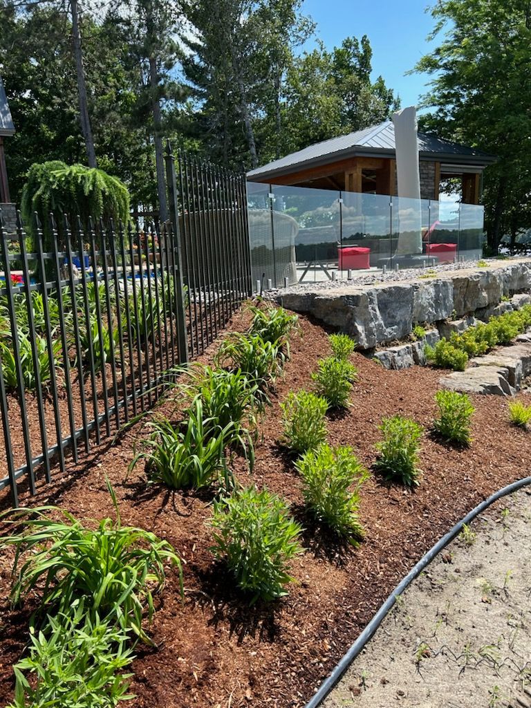 Parterre de jardin avec jeunes plants, paillis brun, clôture en métal noir et un bâtiment avec une balustrade en verre en arrière-plan.