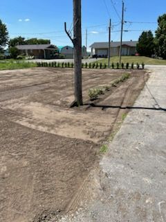 Parking en terre et gravier avec poteau électrique. Rangées d'arbustes en arrière-plan. Journée ensoleillée.