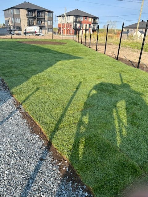 Gazon vert fraîchement posé à côté d'une allée de gravier et d'une clôture, avec des immeubles d'appartements en arrière-plan.