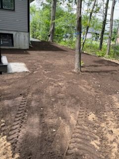 Cour en terre nue près d'une maison, avec des traces de pneus et des arbres.