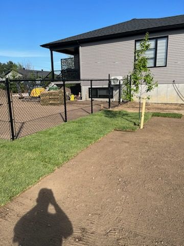 Une cour fraîchement gazonnée avec une clôture grillagée noire et un arbre nouvellement planté à côté d'une maison à deux étages.