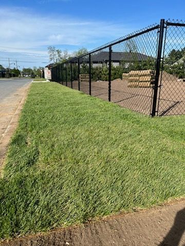 Bande d'herbe verte fraîchement tondue à côté d'un trottoir et d'une clôture grillagée noire.