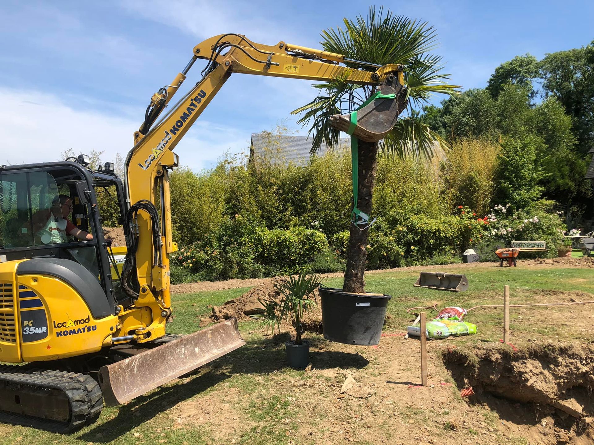 Une pelleteuse jaune soulève une motte de racines d'arbre dans un jardin