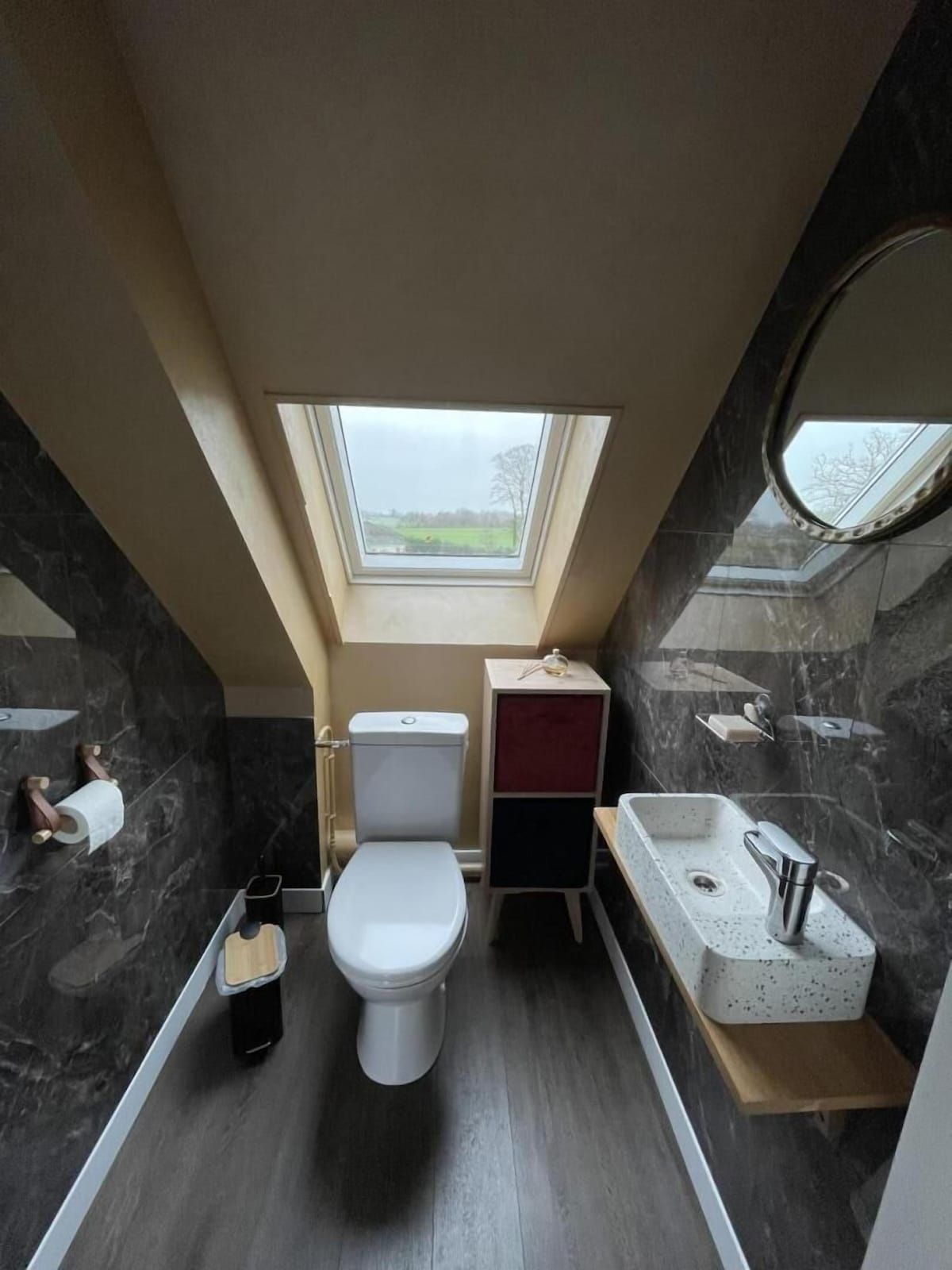 Salle de bain mansardée étroite avec toilettes, lavabo, armoire de rangement, puits de lumière et douche carrelée.