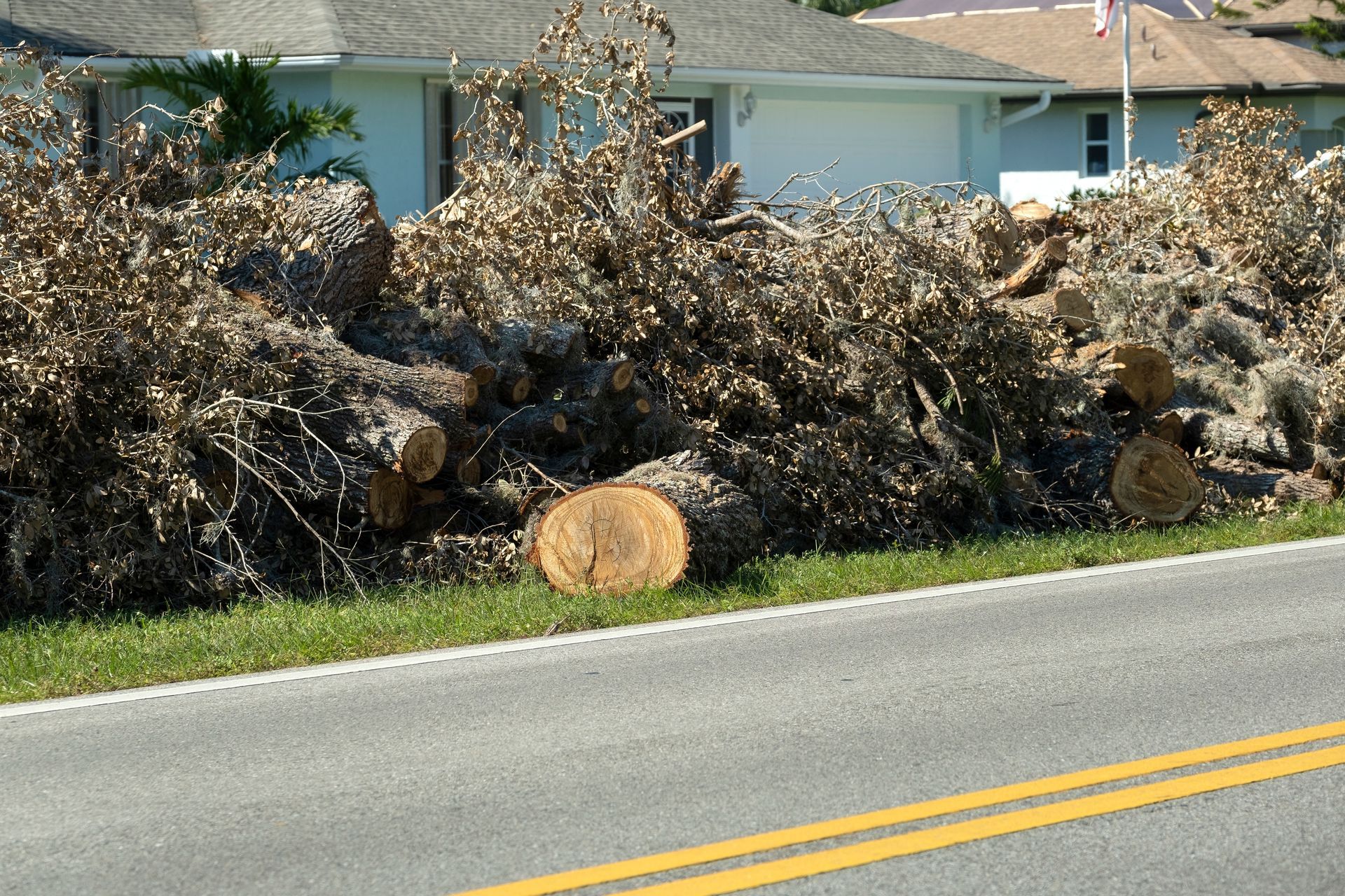 Roadside bushes with a round hay bale beside a two-lane street in front of houses