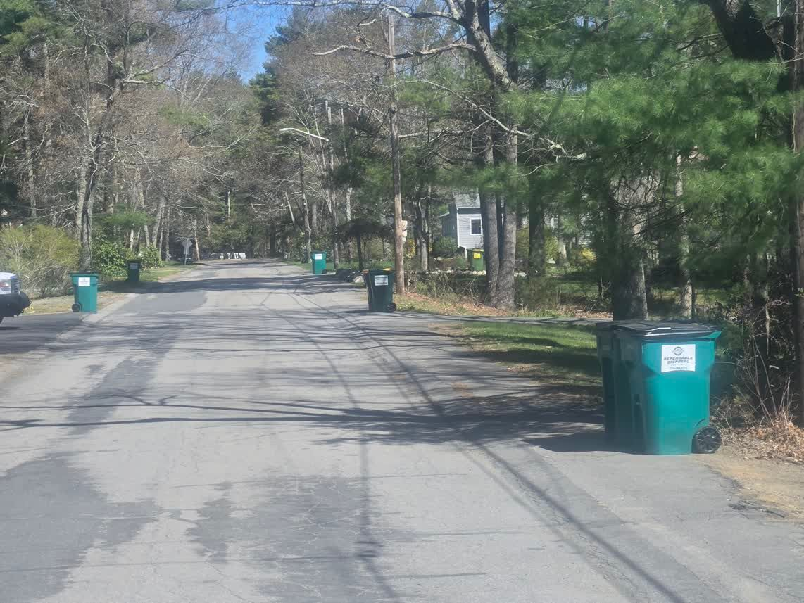 Tree-lined suburban street with green trash bins along the roadside
