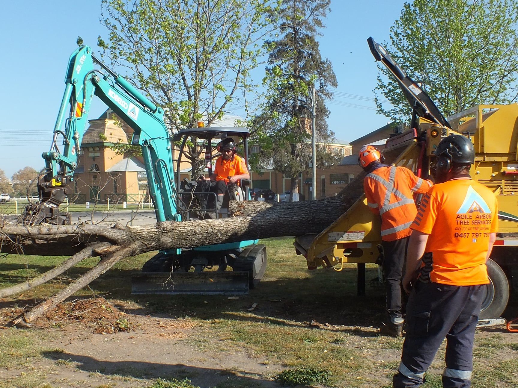 Workers Chipping Tree Branches With Machinery Outdoors — Agile Arbor Pty Limited in Kelso, NSW