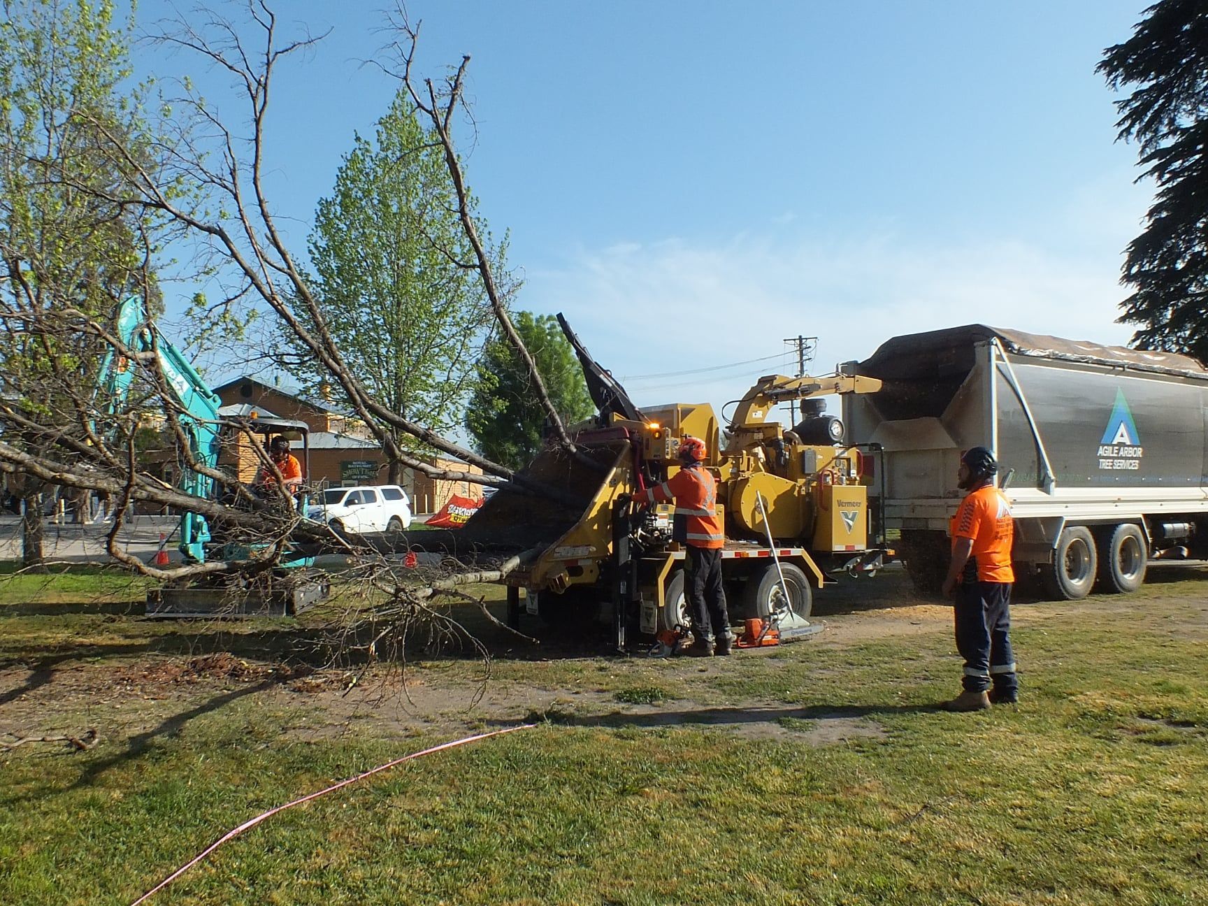 Tree Removal Crew Using a Chipper to Process Fallen Branches Next to a Truck — Agile Arbor Pty Limited in Kelso, NSW