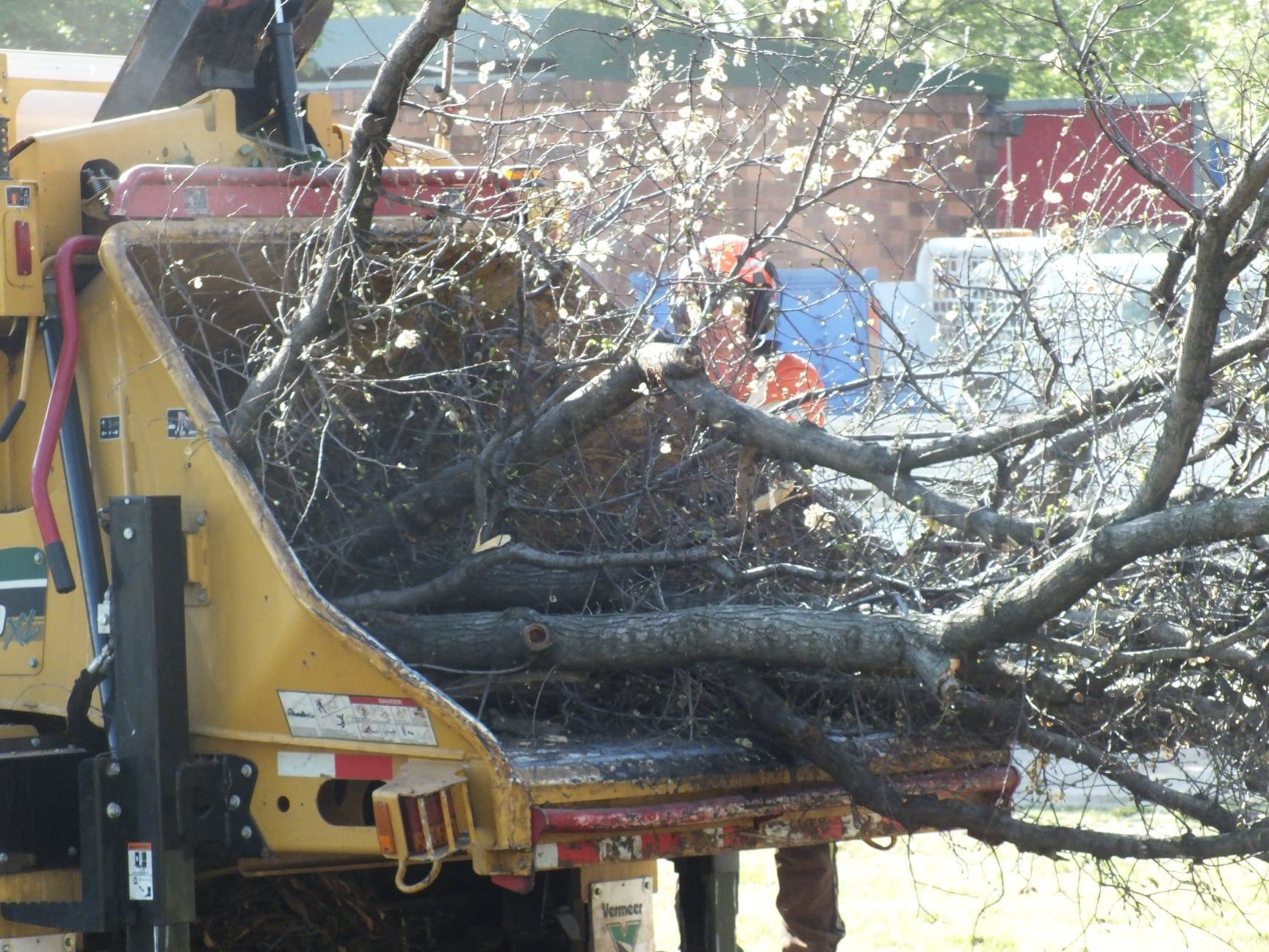 Wood Chipper Shredding Tree Branches; Yellow Machine, Worker in Orange Vest — Agile Arbor Pty Limited in Kelso, NSW