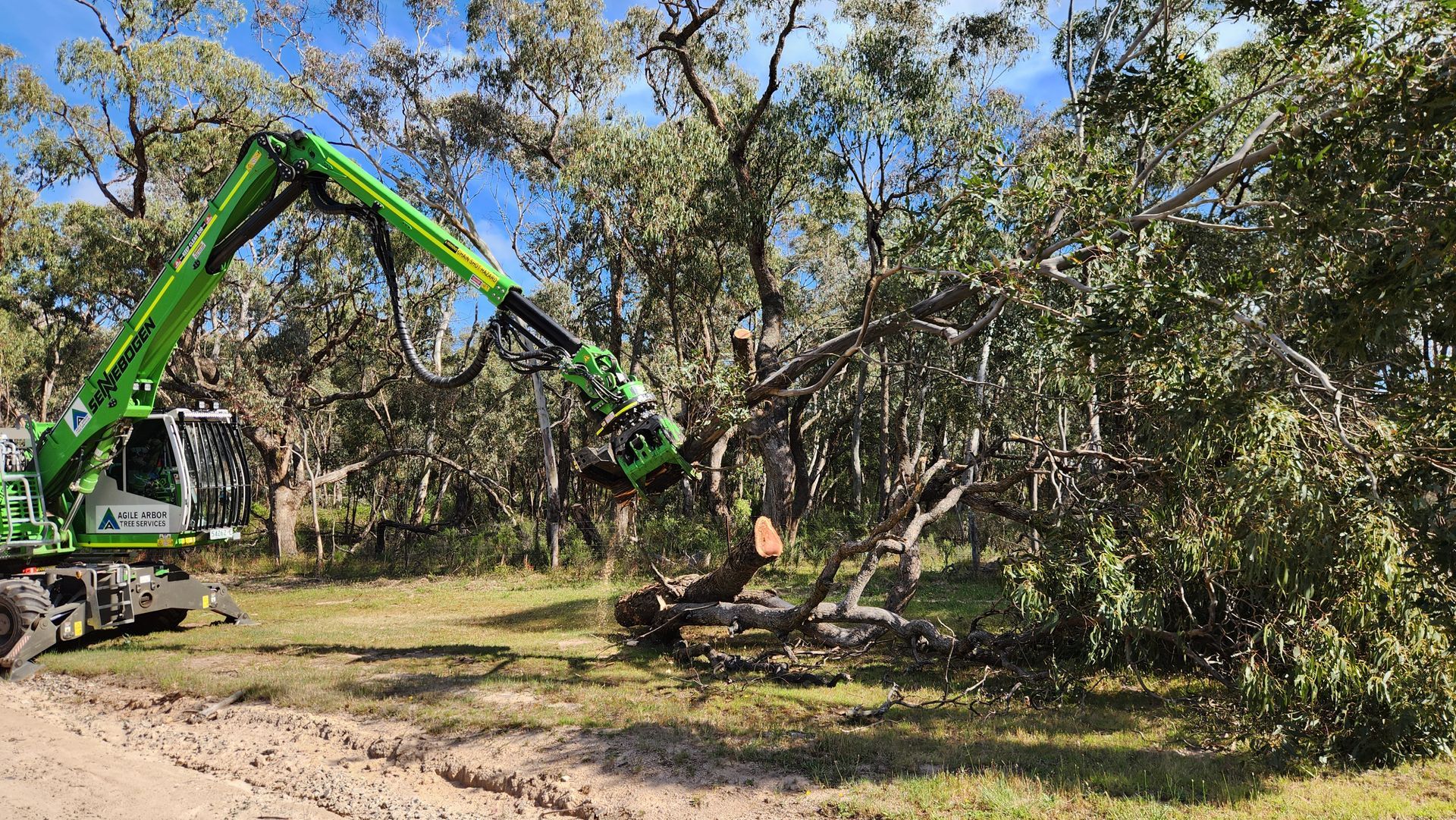 Green forestry machine cutting a tree in a wooded area — Agile Arbor Pty Limited in Blue Mountains, NSW