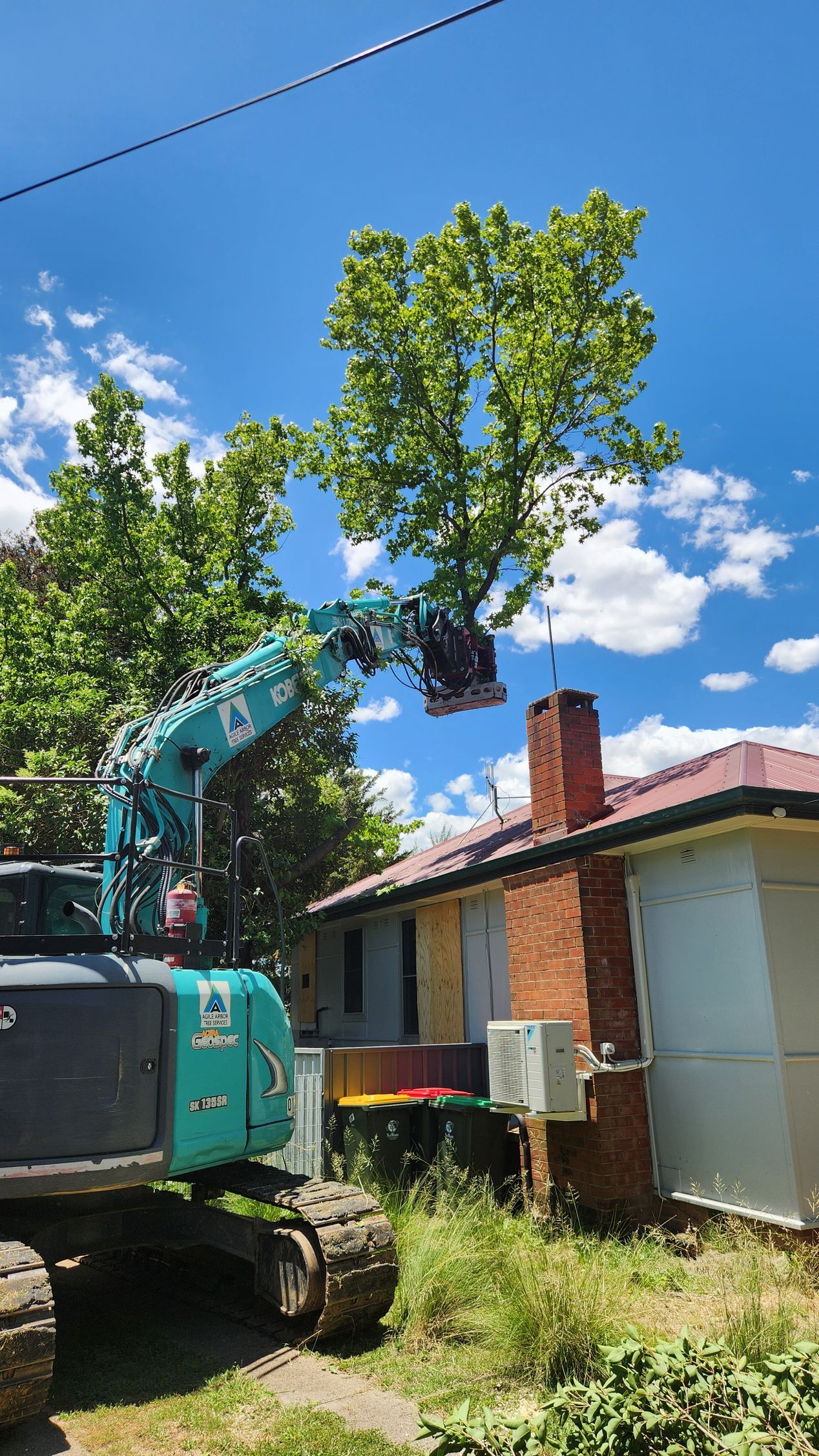 A teal excavator with a tree shear attachment trims a large green tree over a brick house on a sunny day.