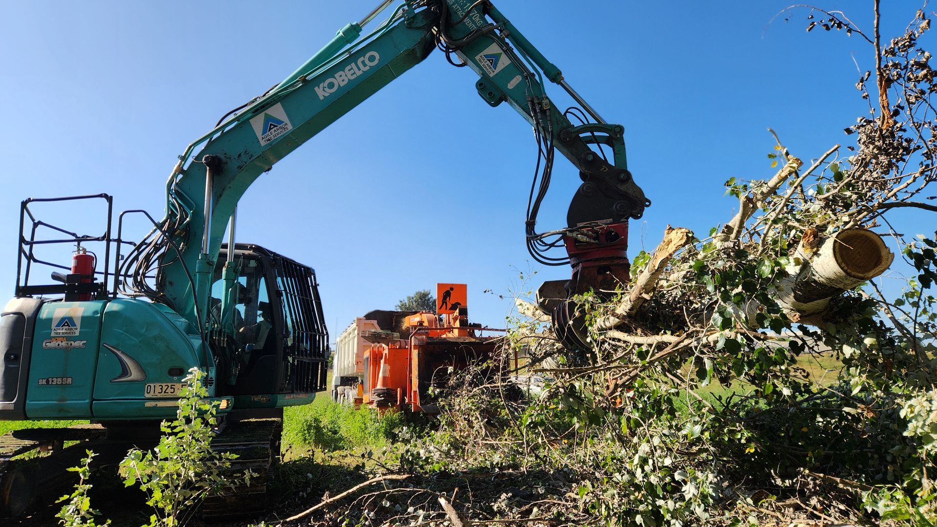 Park Area With Wood Chip Groundcover, Fenced Saplings, Bench — Agile Arbor Pty Limited in Kelso, NSW