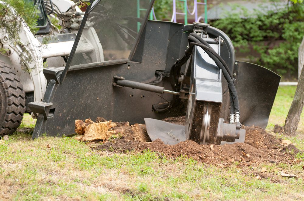 Stump Grinder Removing a Tree Stump in a Grassy Area — Agile Arbor Pty Limited in Kelso, NSW