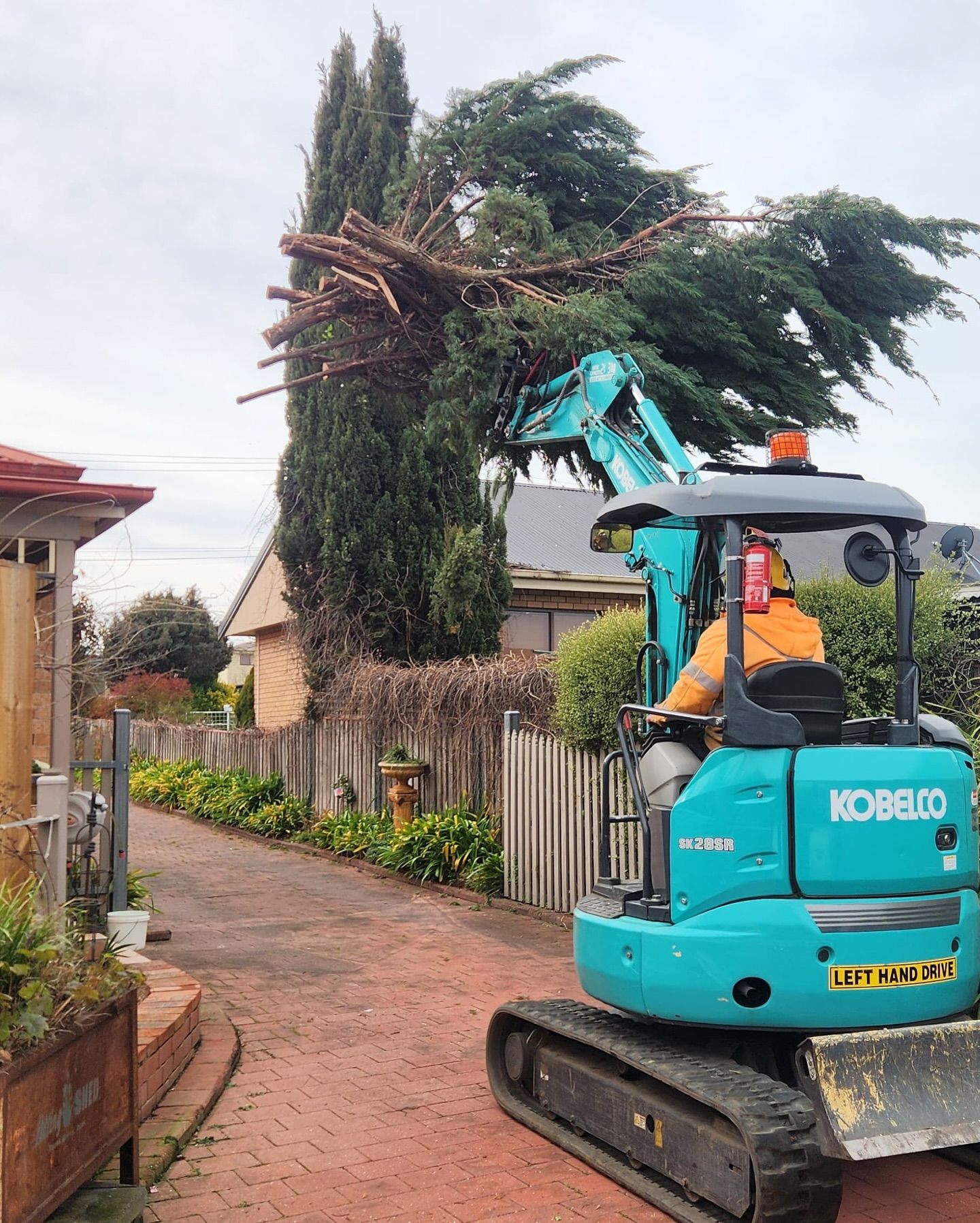 Mini Excavator Operator Trims Tree Branches on a Brick Pathway — Agile Arbor Pty Limited in Kelso, NSW