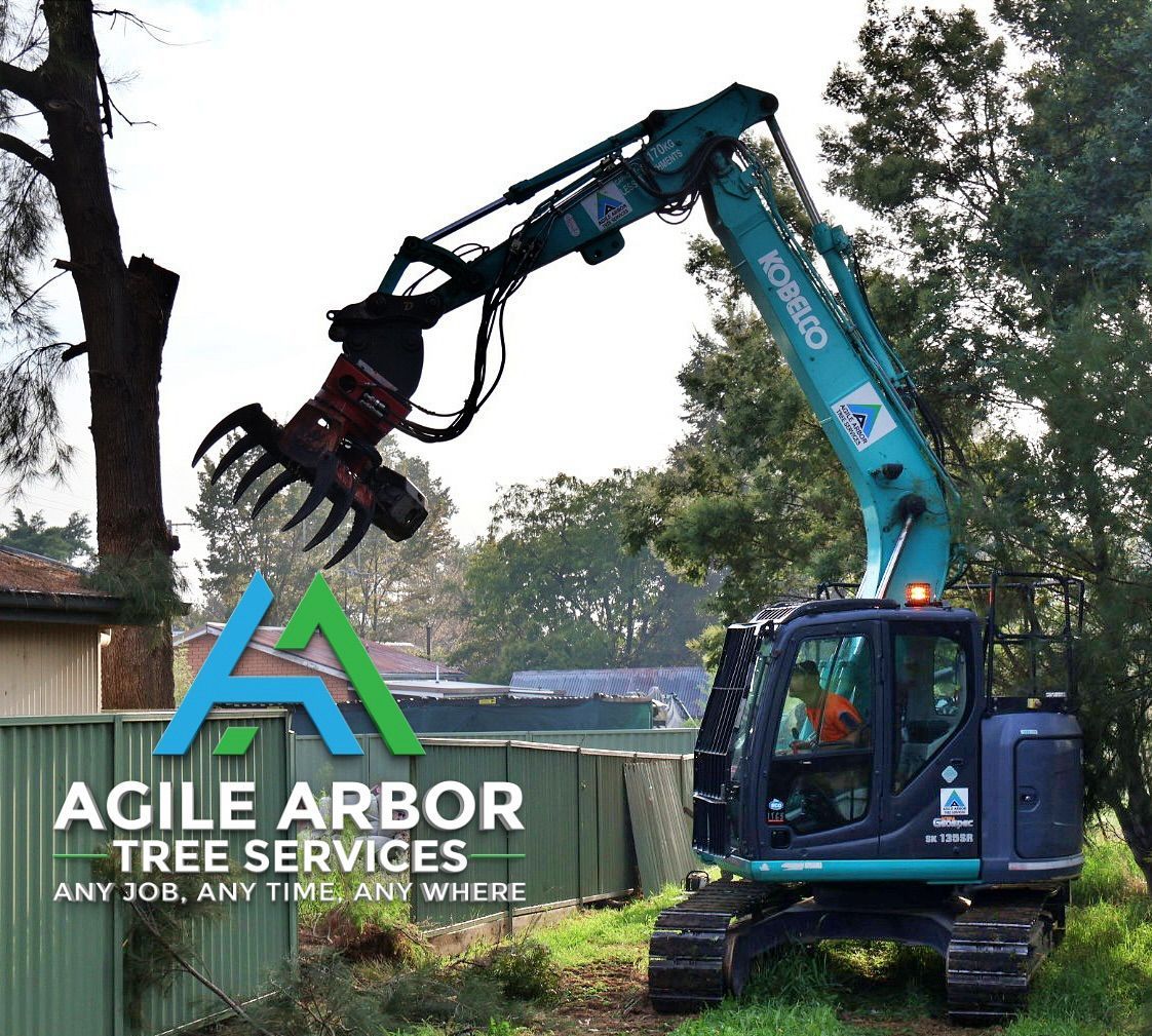 An Excavator With a Tree Grabber — Agile Arbor Pty Limited in Orange, NSW