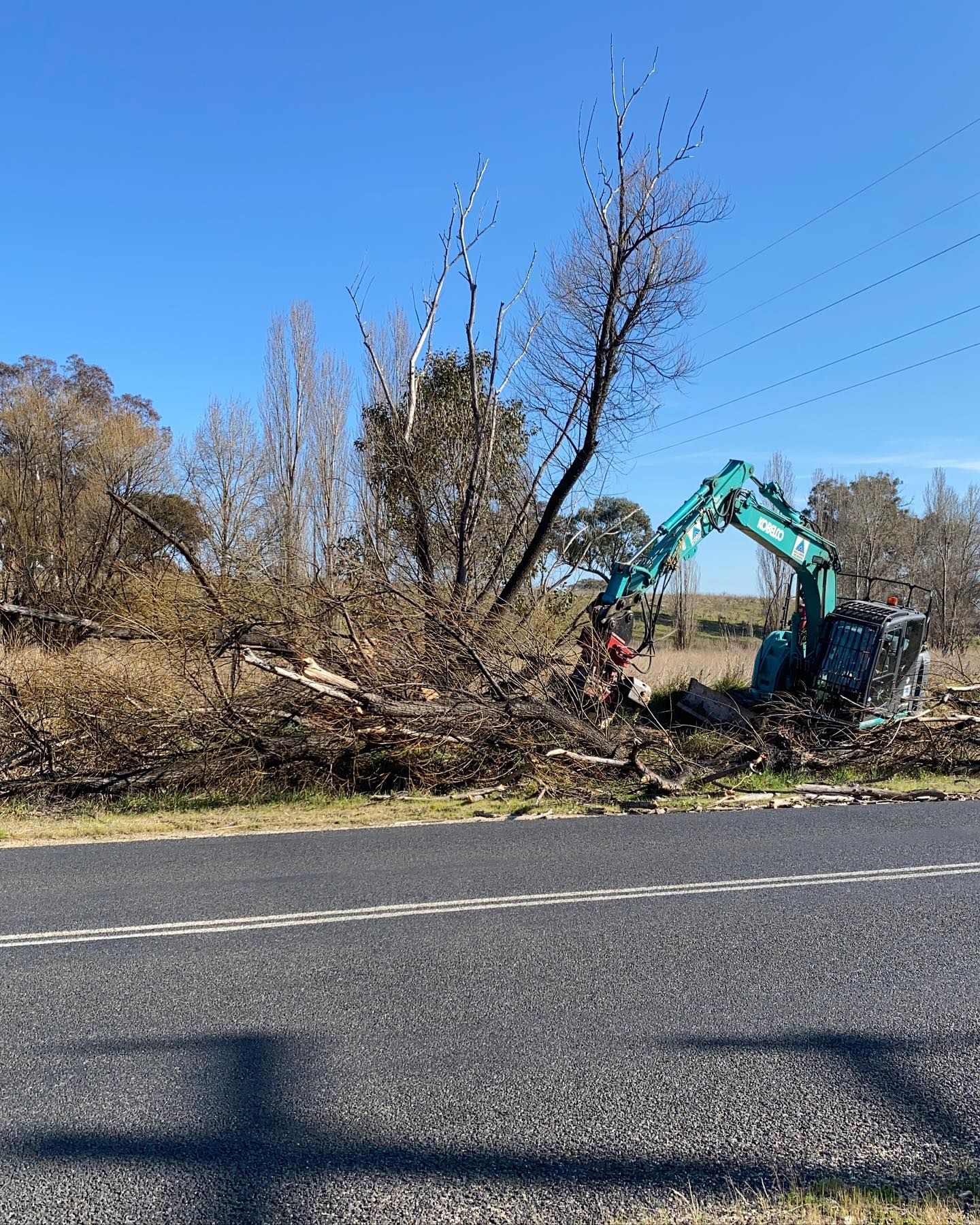 A Blue Excavator Clearing Debris Near a Road, With Bare Trees — Agile Arbor Pty Limited in Orange, NSW
