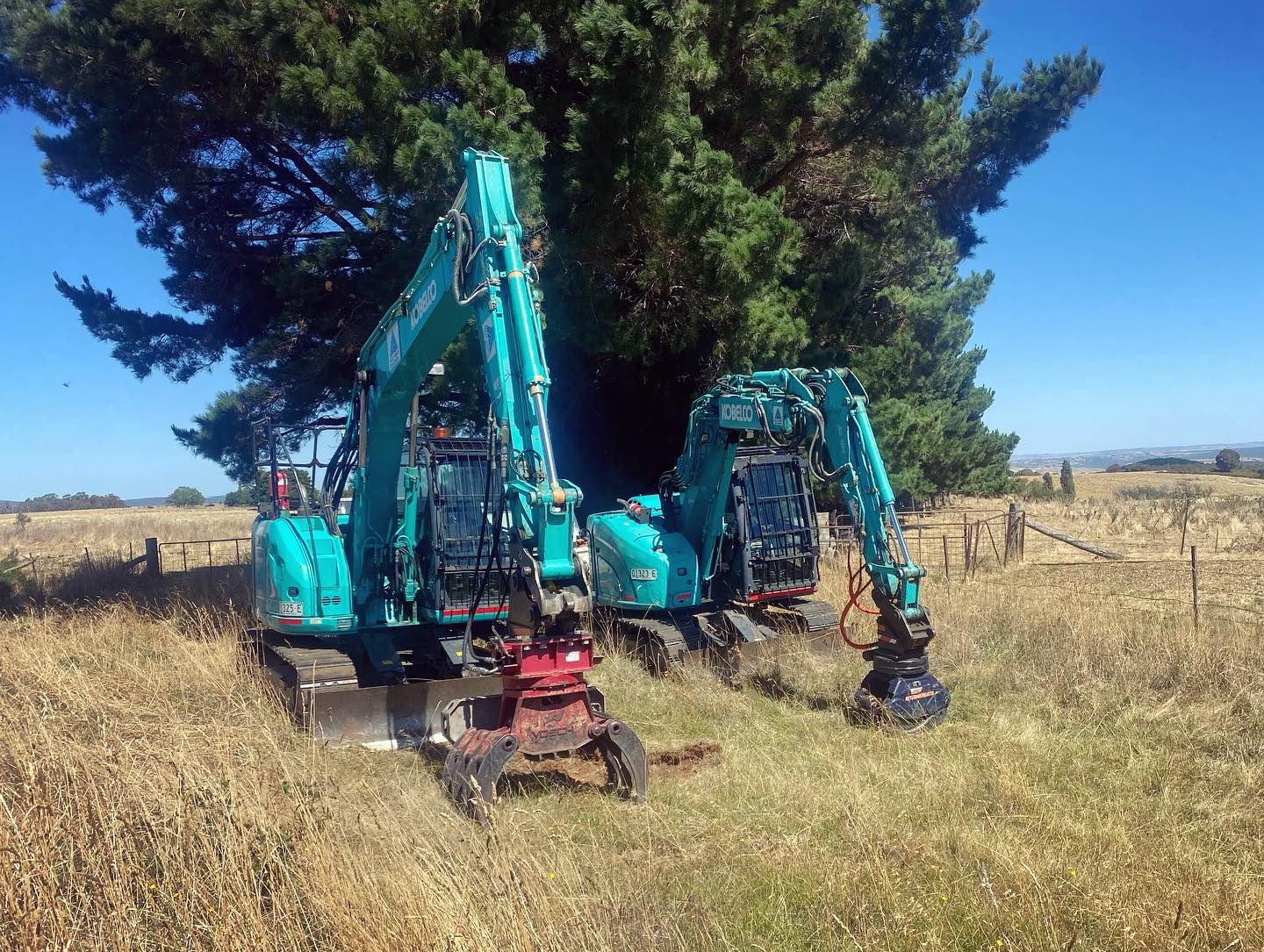 Two Teal Excavators in a Grassy Field Near a Tree, Parked Close Together — Agile Arbor Pty Limited in Kelso, NSW