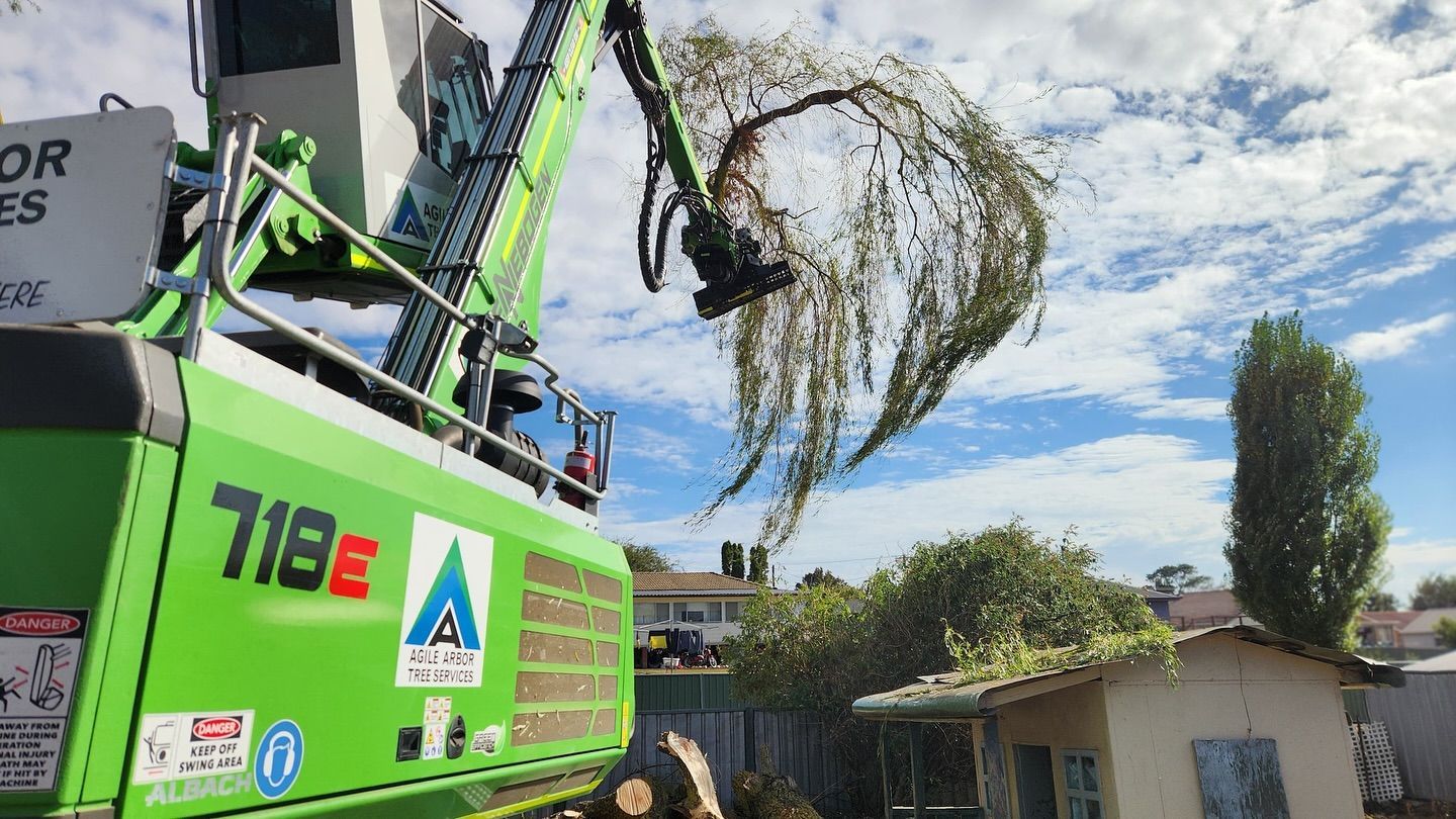 Green Excavator Removing Tree Branches, Cloudy Sky Background — Agile Arbor Pty Limited in Blayney, NSW