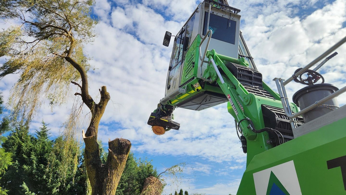 Green Tree-cutting Machine Lopping Branches From a Tree — Agile Arbor Pty Limited in Oberon, NSW