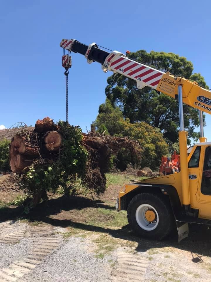 Yellow Crane Lifting a Large Tree Stump and Branches Under a Blue Sky — Agile Arbor Pty Limited in Kelso, NSW