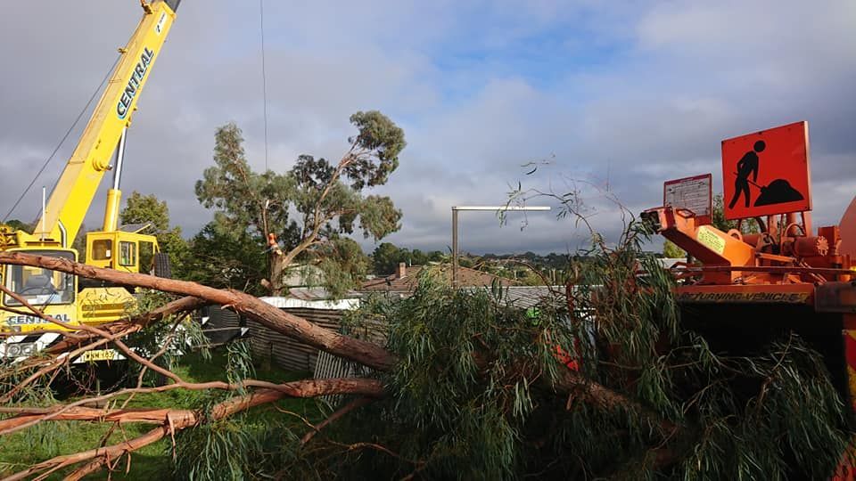 A Yellow Crane Lifting Tree Branches Toward a Wood Chipper, With a Worker Sign — Agile Arbor Pty Limited in Kelso, NSW