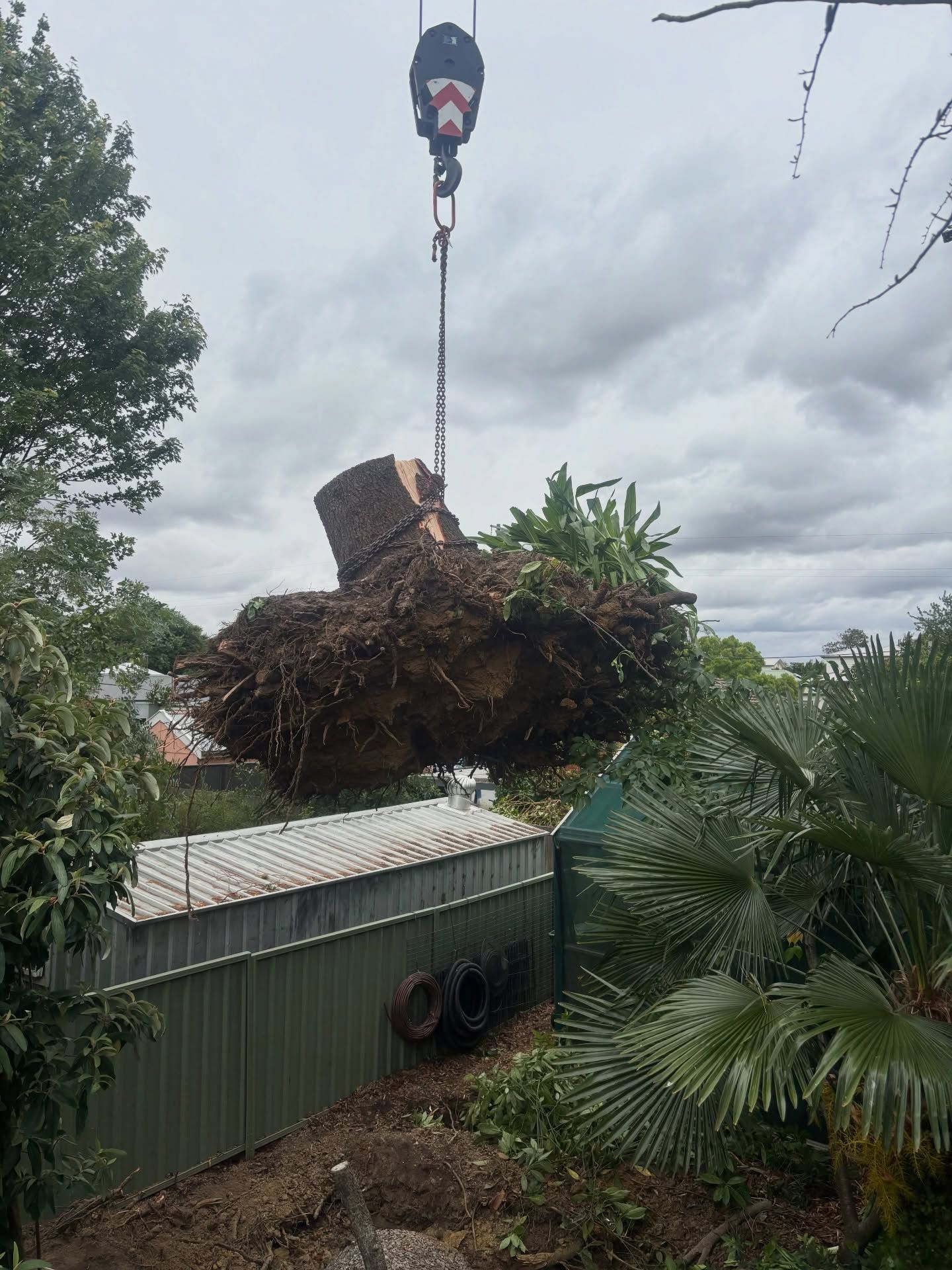 Crane Lifting a Large Tree Stump With Exposed Roots Over a Fence and Yard — Agile Arbor Pty Limited in Oberon, NSW