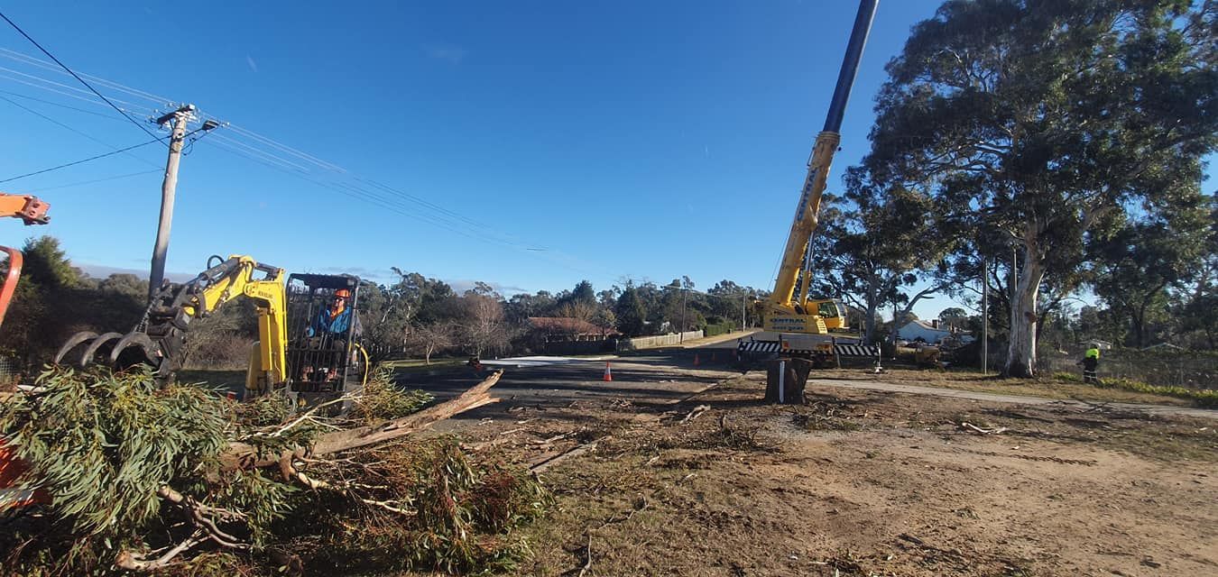 Construction Site With Heavy Machinery Like a Crane and Excavator — Agile Arbor Pty Limited in Kelso, NSW