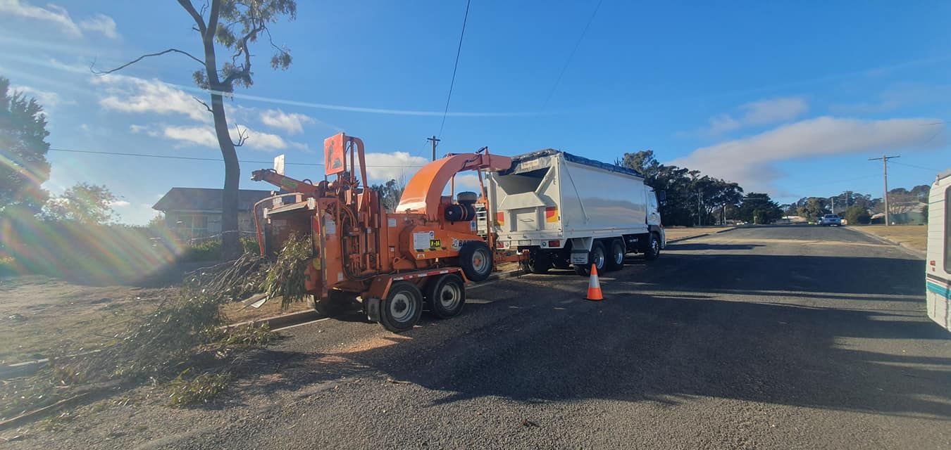 An Orange Wood Chipper Feeding Branches Into a Truck — Agile Arbor Pty Limited in Orange, NSW