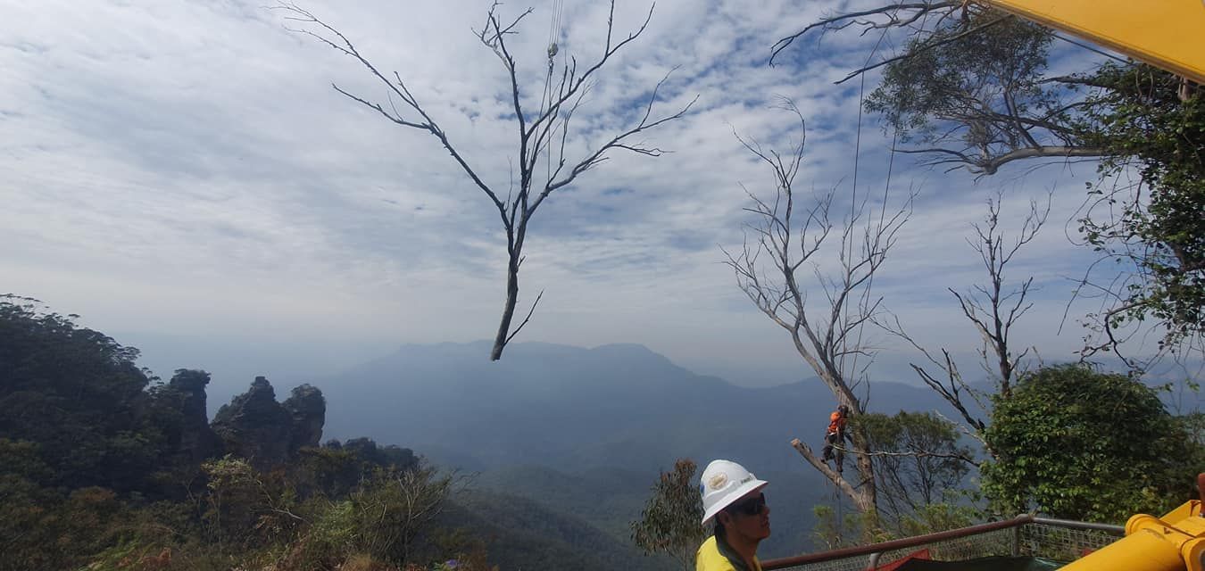 A Person in a White Hard Hat Looks Out at a Mountain Range From a High Vantage Point — Agile Arbor Pty Limited in Kelso, NSW