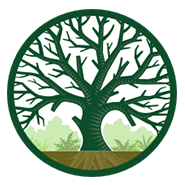 Accredited Tree Surgeon