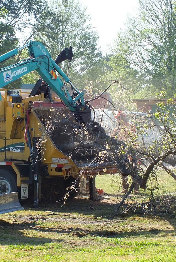 Tree Chipper Processing Branches in a Grassy Area, Green and Yellow Machine — Agile Arbor Pty Limited in Orange, NSW