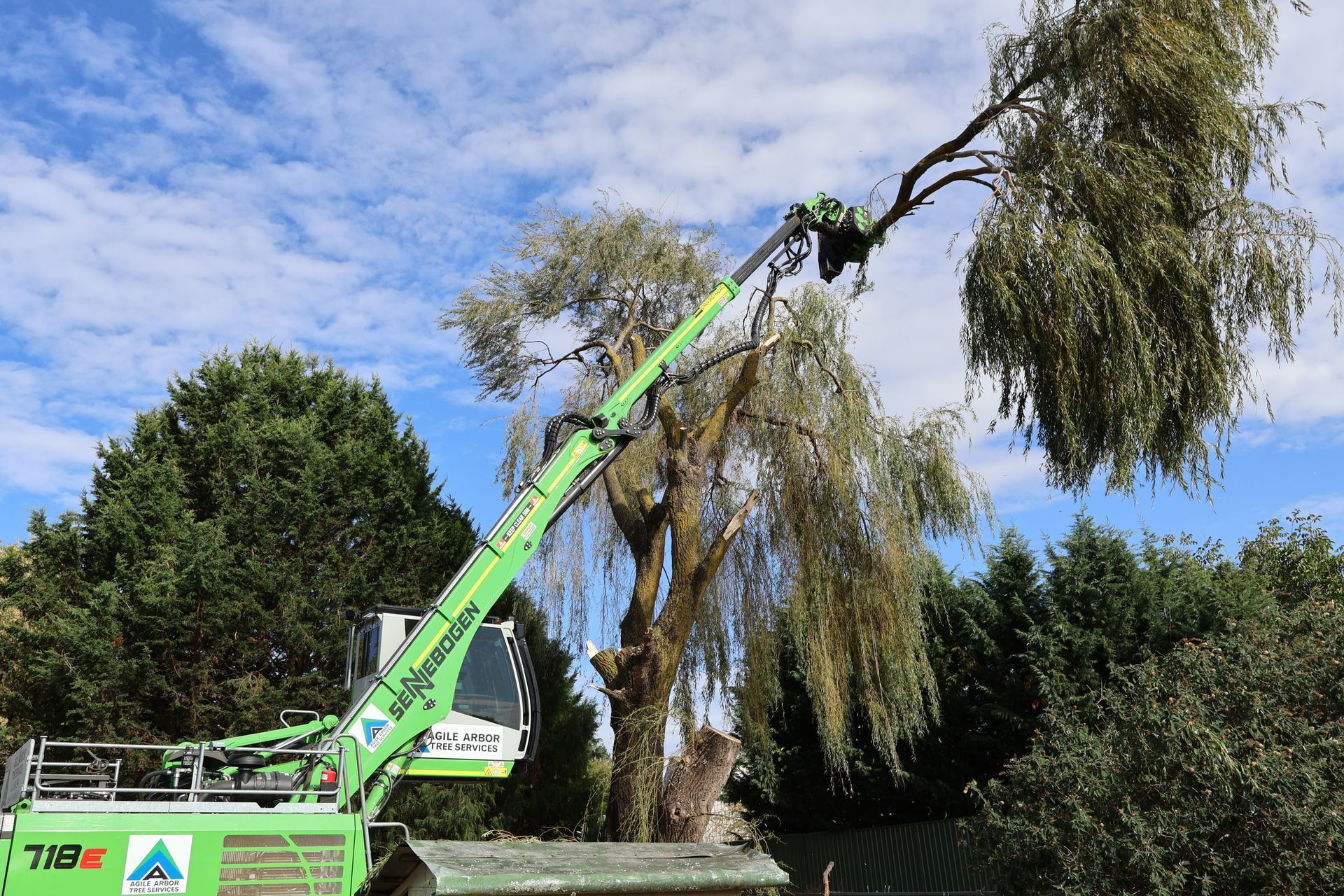 A green tree-trimming crane machine holds a severed branch from a large, weeping tree against a bright blue sky.