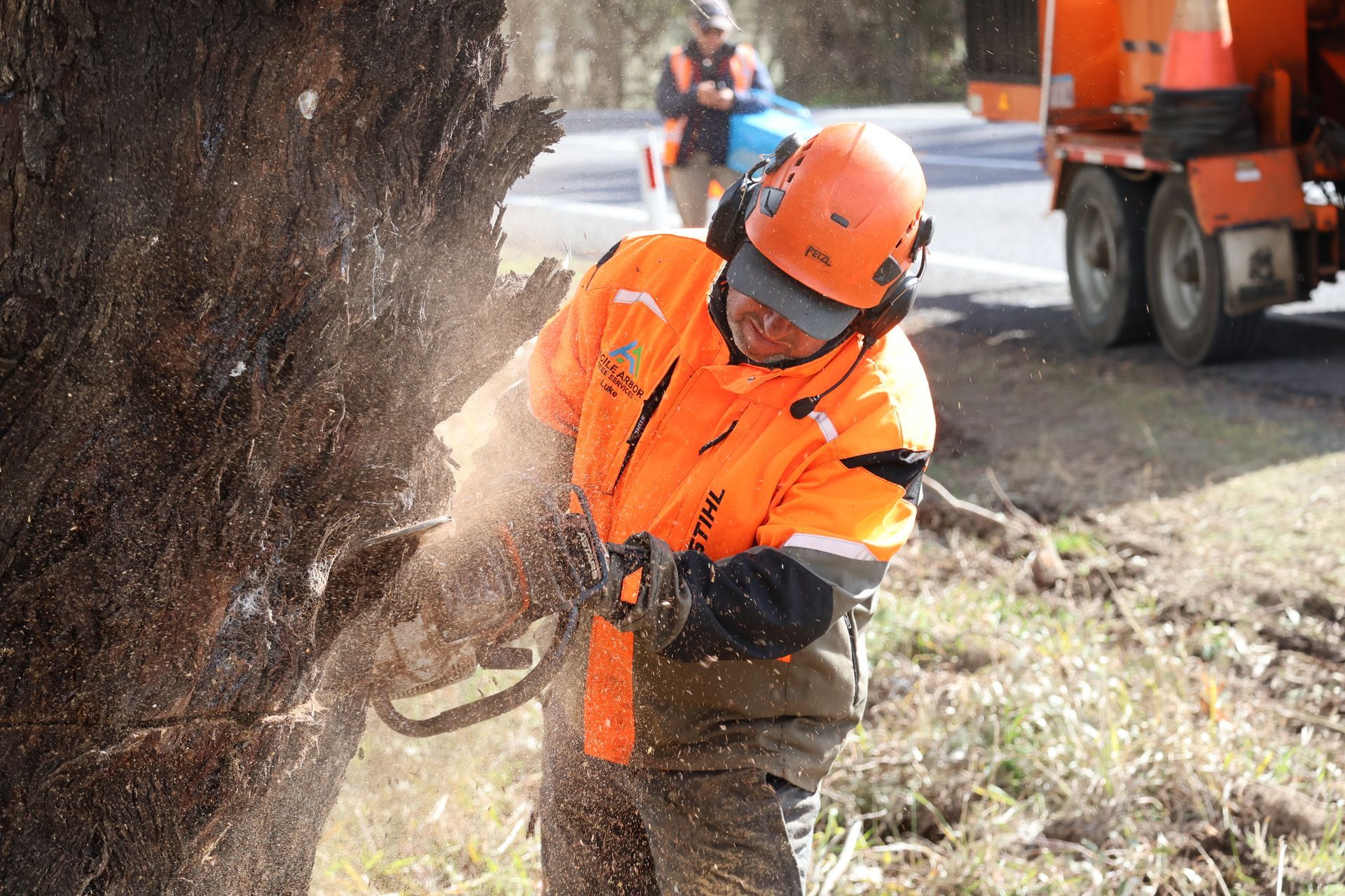 Man in Orange Vest Cutting Tree With Chainsaw — Agile Arbor Pty Limited in Kelso, NSW
