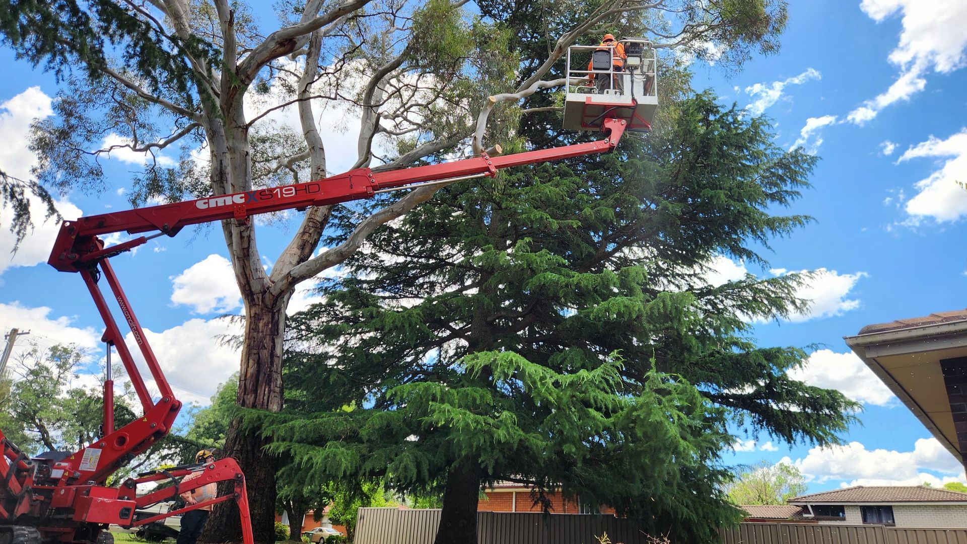 Person in an aerial lift trimming a tall tree against a blue sky with some greenery and part of a house — Agile Arbor Pty Limited in Blue Mountains, NSW