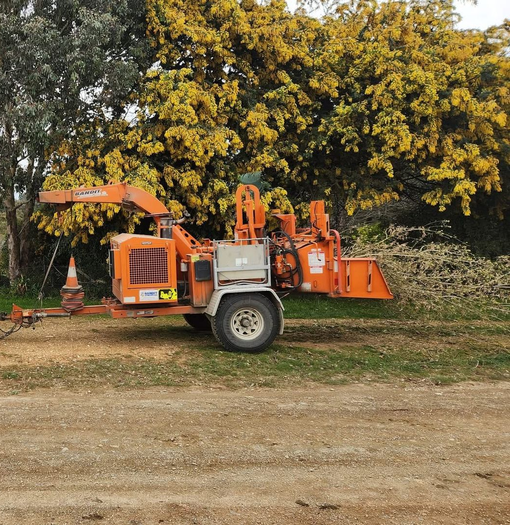 Tree Removal Crew Using a Chipper to Process Fallen Branches Next to a Truck — Agile Arbor Pty Limited in Blayney, NSW