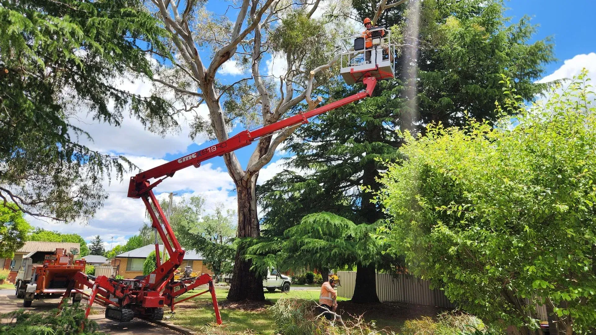 Tree Trimmer in an Aerial Lift, Cutting a Tree — Agile Arbor Pty Limited in Kelso, NSW