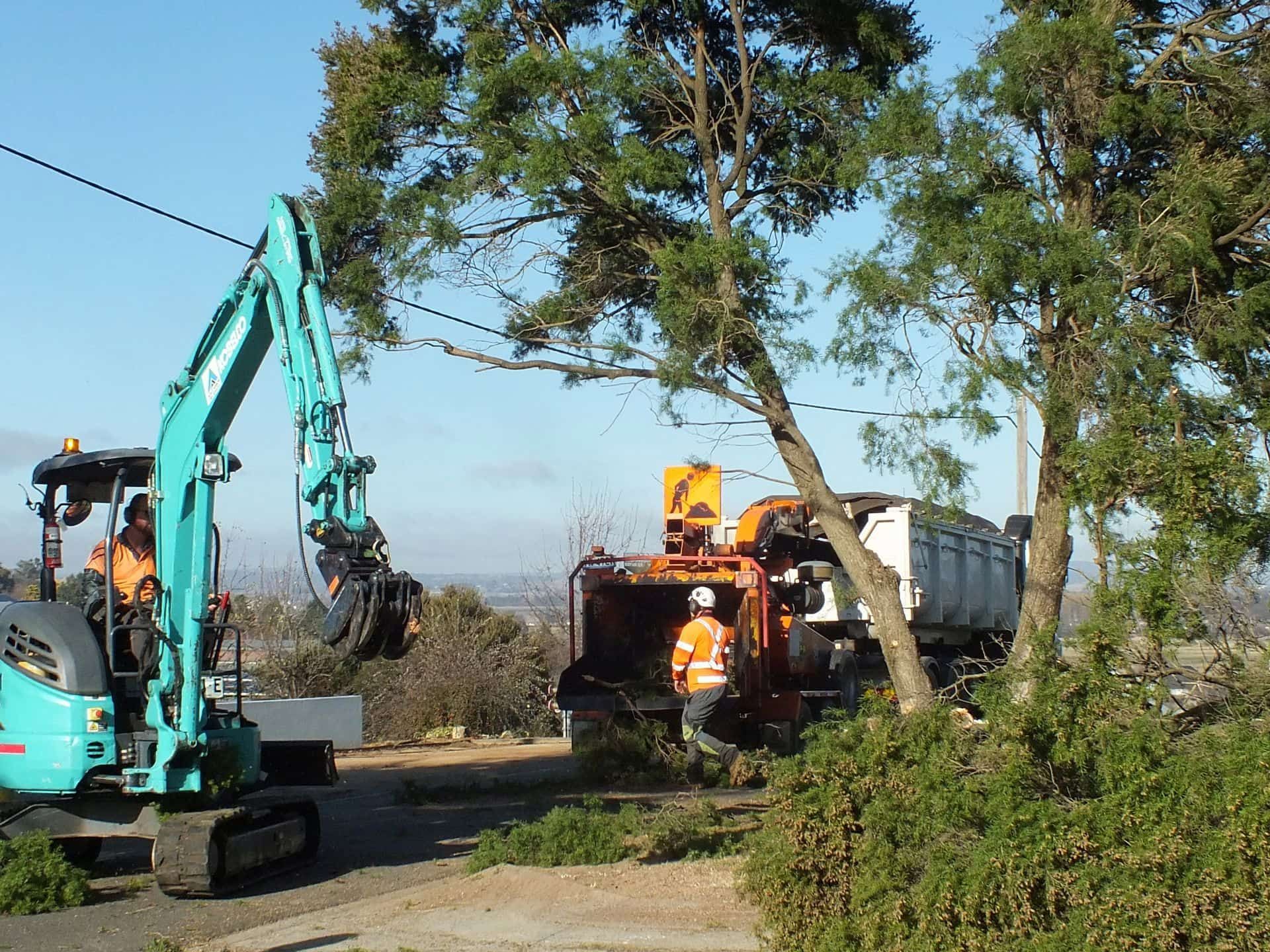 Workers Trimming Tree Branches Near Power Lines, Using an Excavator and Wood Chipper — Agile Arbor Pty Limited in Kelso, NSW