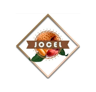 Um logotipo para jocel mostra uma cesta de frutas