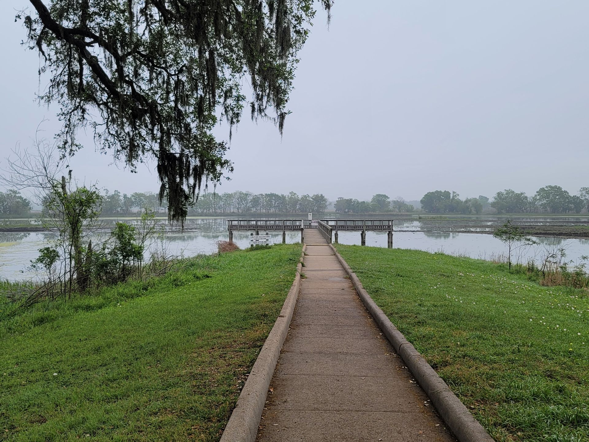 a path leading to a bridge over a body of water