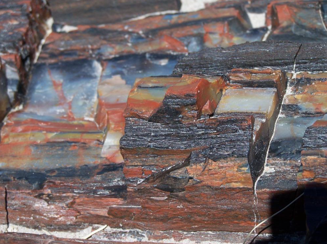 Colorful petrified wood at Petrified Forest National Park, which was closed during the 2025 government shutdown