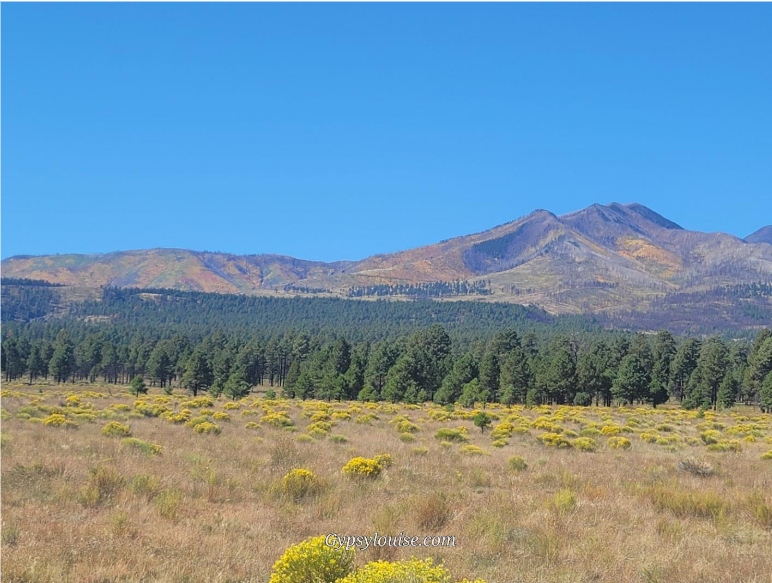 San Francisco Peaks near Bonito Campground north of Flagstaff during fall