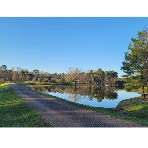 a dirt road leading to a lake surrounded by trees