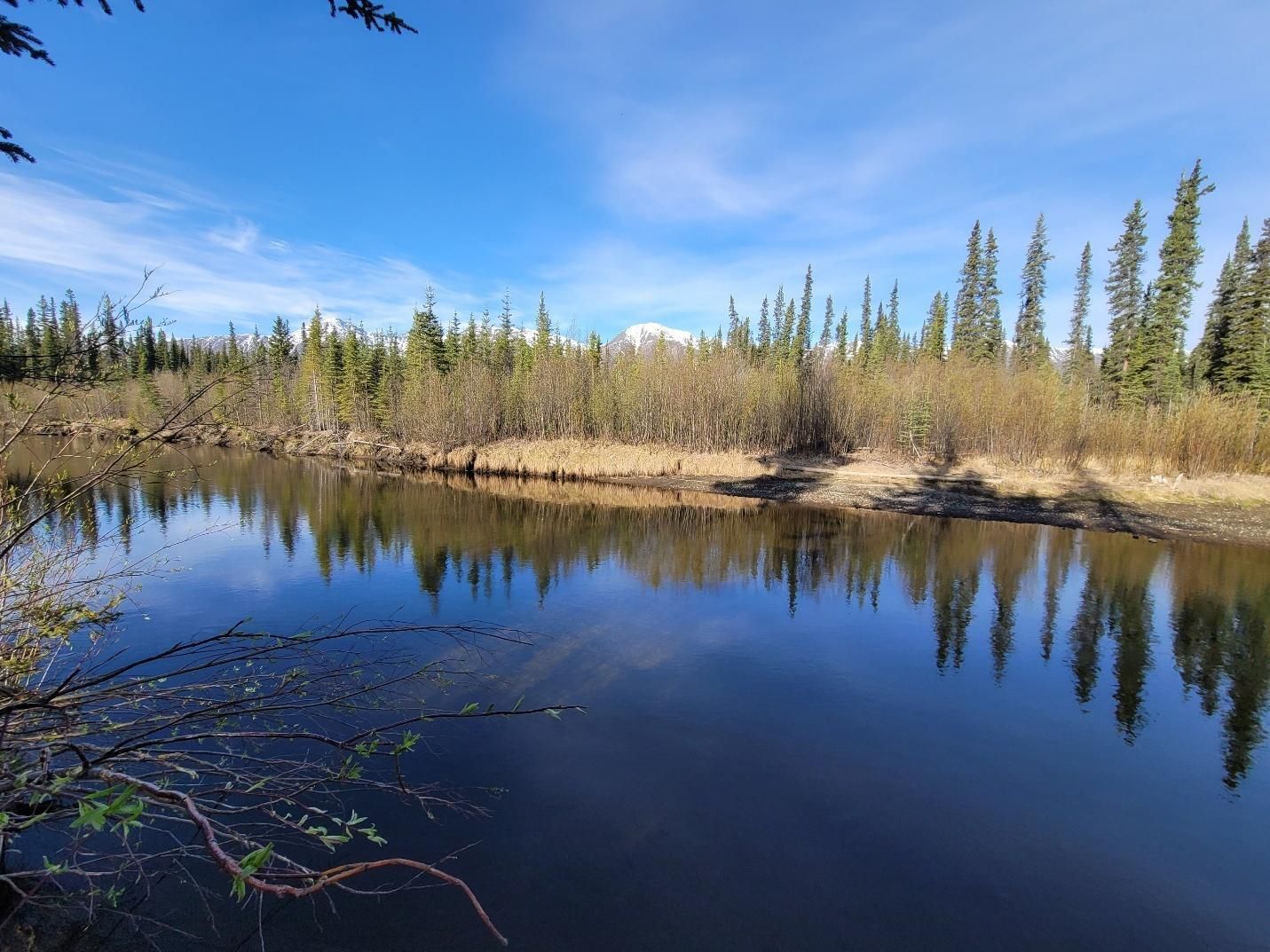 Kluane mountain range in the background with Lake Creek in the foreground. Yukon Canada