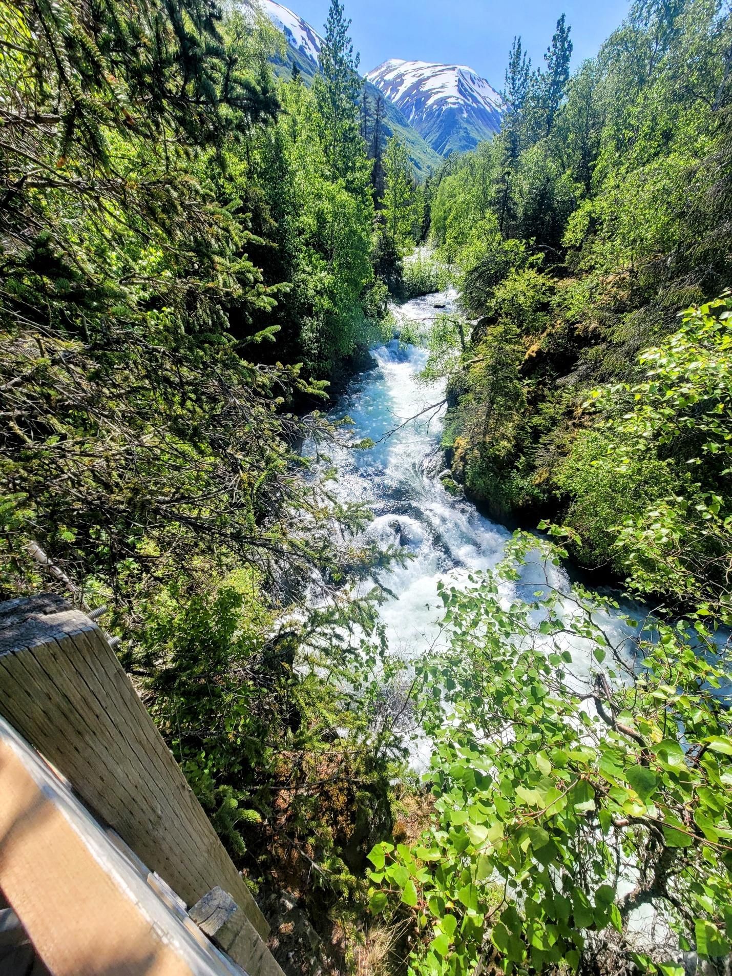 Russian River Falls viewing platform in Cooper Landing Alaska