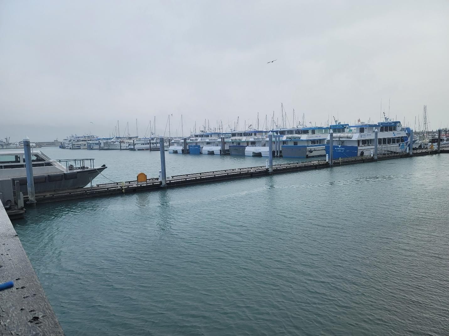  Boats docked in Resurrection Bay, Seward Alaska