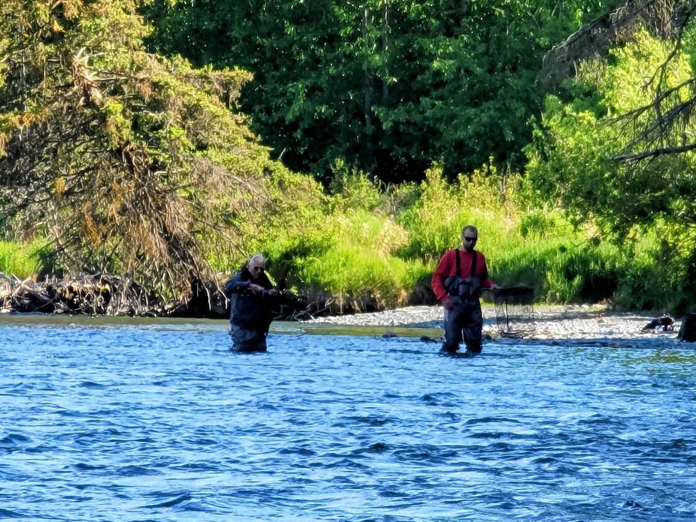 Men fishing for salmon and trout in the Kenai River near Cooper Landing Alaska.