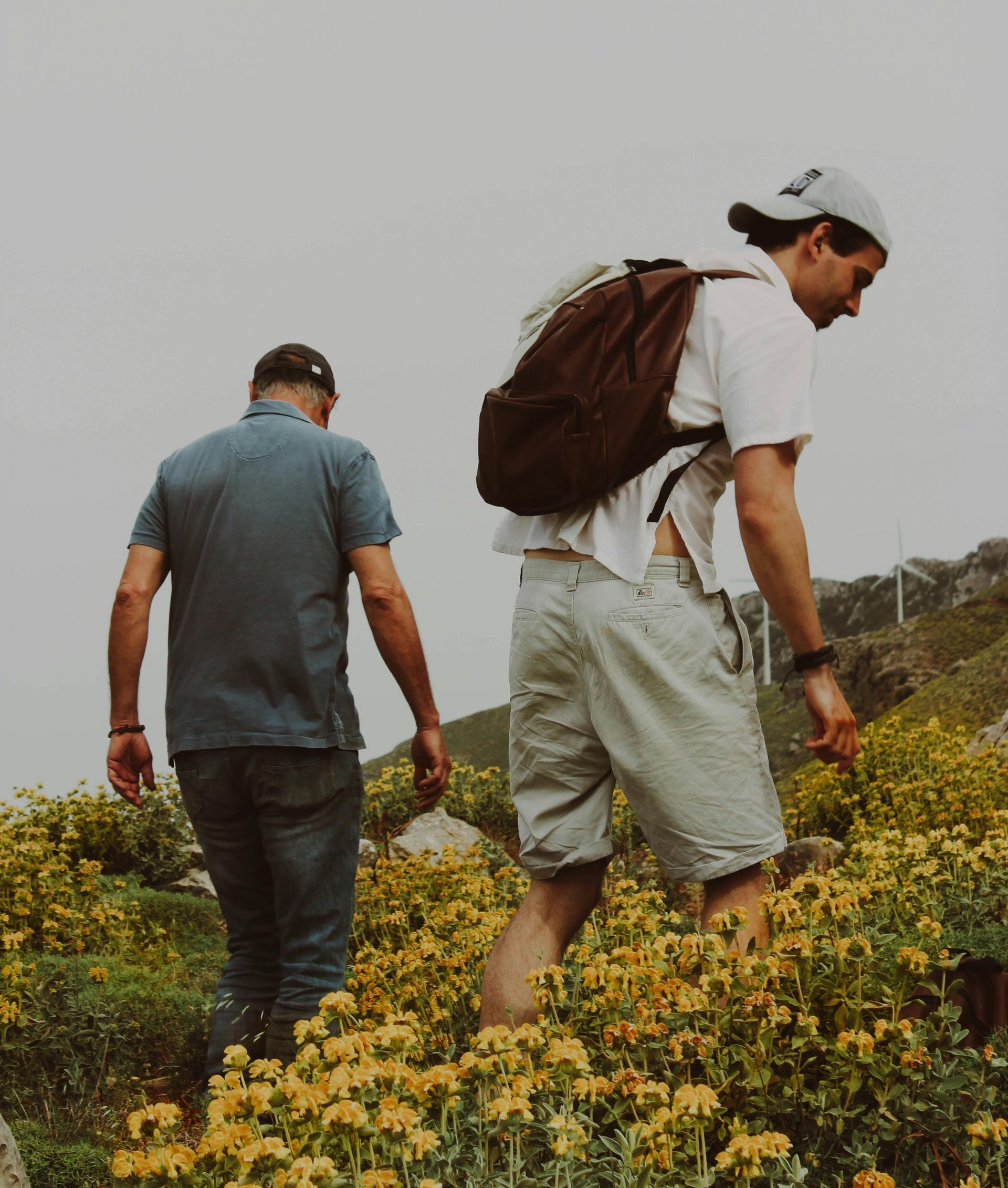 Two hikers with backpacks walk through a field of yellow wildflowers on a cloudy, overcast day.