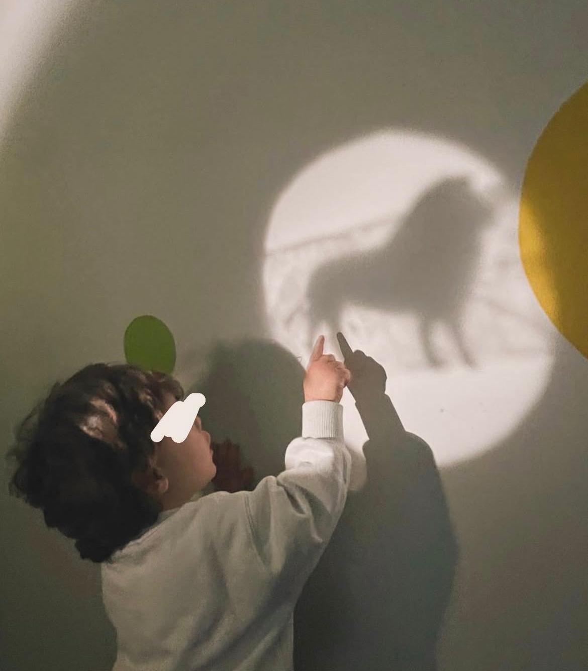 Un bambino sta guardando l'ombra di un leone su un muro